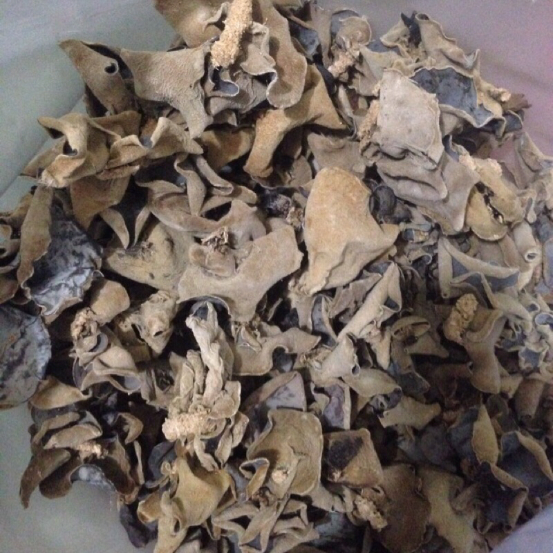 nấm mèo , mộc nhĩ , 100g .