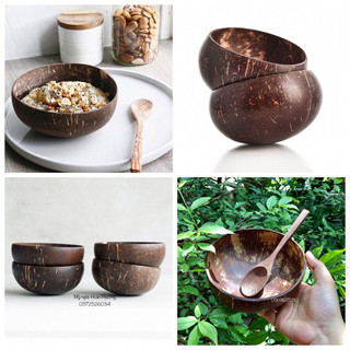 Bát Chén Gáo Dừa Muỗng gỗ mun