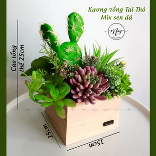 Cây giả, Sen đá, xương rồng chậu gỗ để bàn trang trí