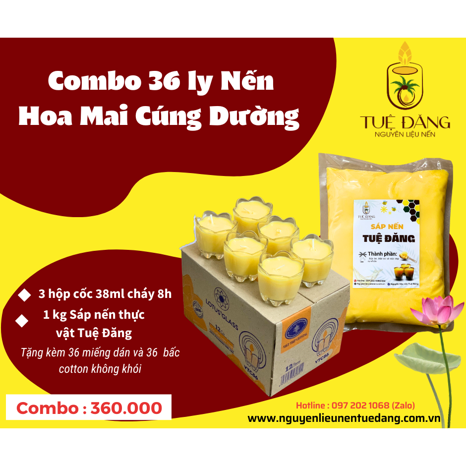 Combo ly hoa mai làm nến bơ cúng dường [Hỏa tốc1h]
