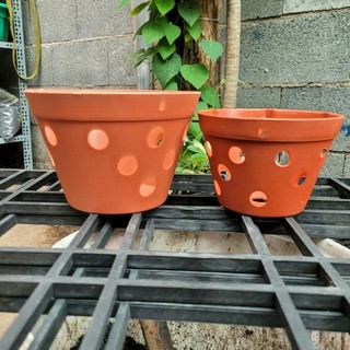 Chậu nhựa giả đất nung trồng lan phi 15 và 18