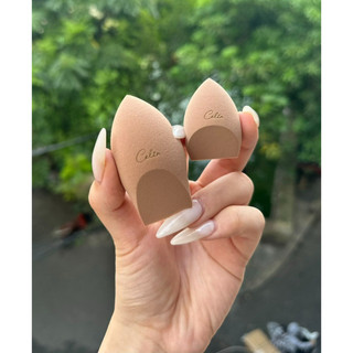 Mút đánh nền, tán nền Celin