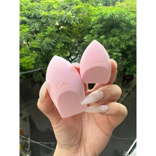 Bông mút tán nền Celin mẫu mới