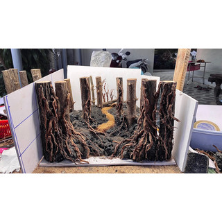 Layout thuỷ sinh đặt theo yêu cầu ib riêng khách duyệt hàng trước khi gửi