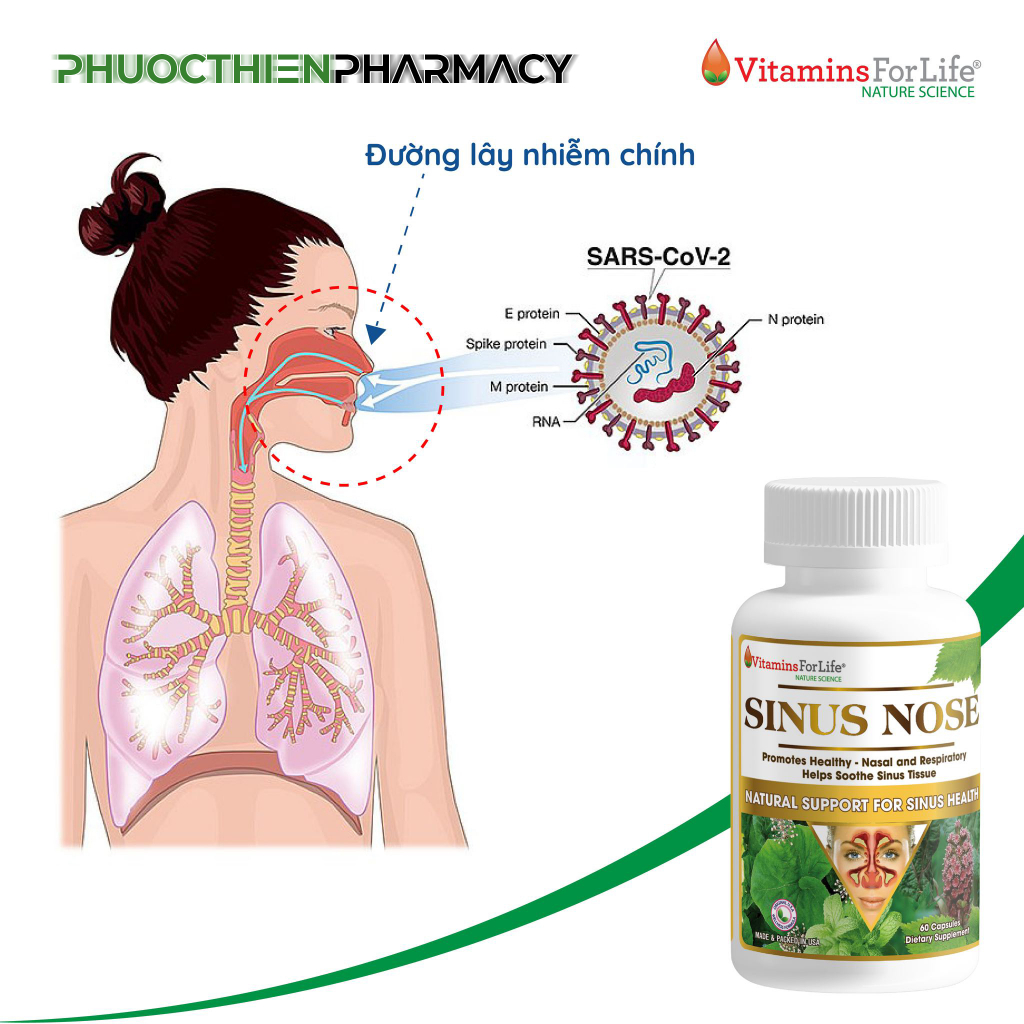 SINUS NOSE Viên uống hỗ trợ viêm xoang viêm mũi dị ứng Lọ 60 Viên - chiết xuất Echinacea, keo ong