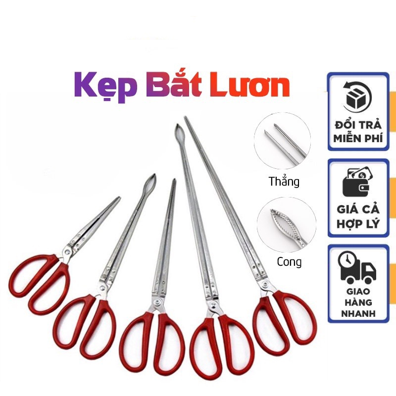Kẹp Bắt Lươn, Tôm, Cua