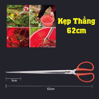 Kẹp Bắt Lươn, Tôm, Cua