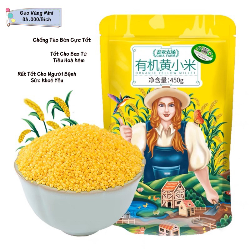GẠO VÀNG MINI