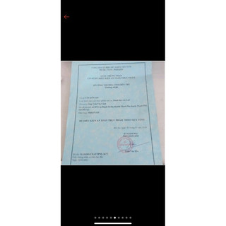 Bánh trung thu đàn heo