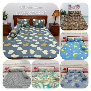 Bộ ga gối thun hàn quốc size 1m6×2m