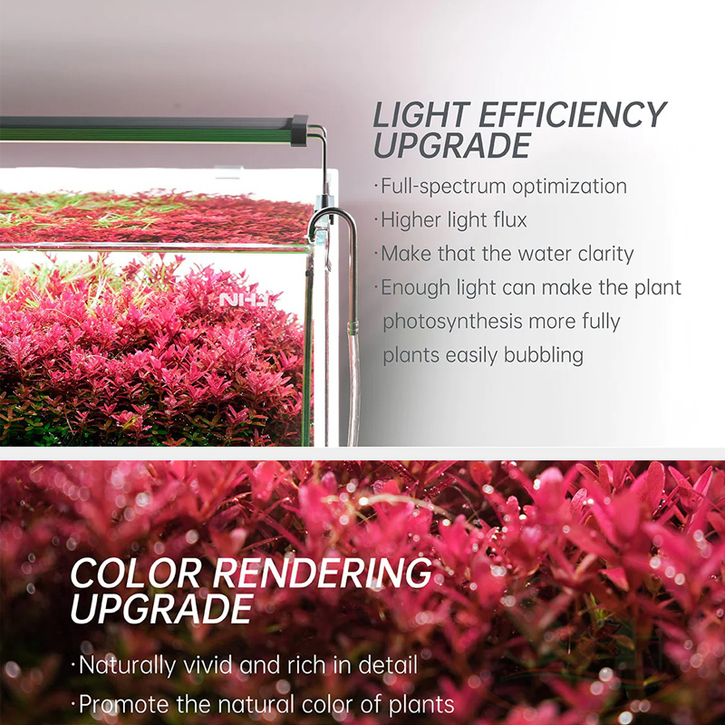 Đèn led Chihiros B 45, 60 cm series quang phổ rgb bể thủy sinh cá tép