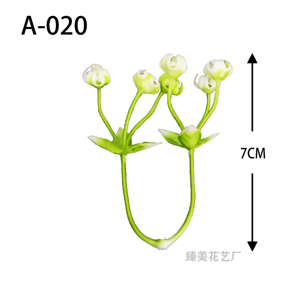 1kg cỏ điểm các loại