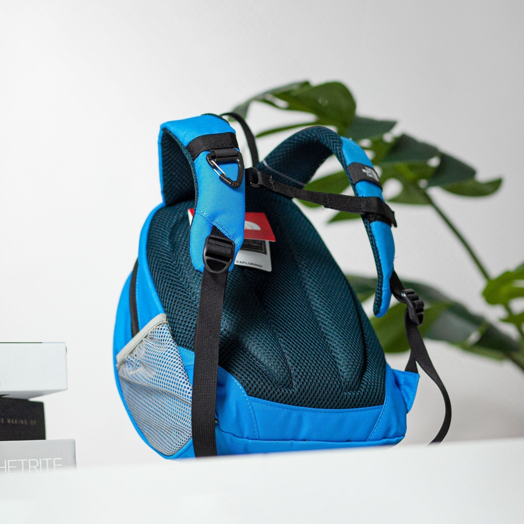 Balo Bé Trai Bé Gái Trẻ Em The North Face Mini Xuất Chuẩn Hãng Tem Tag Đầy Đủ Dành Cho Trẻ Mẫu Giáo
