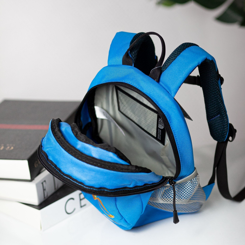 Balo Bé Trai Bé Gái Trẻ Em The North Face Mini Xuất Chuẩn Hãng Tem Tag Đầy Đủ Dành Cho Trẻ Mẫu Giáo