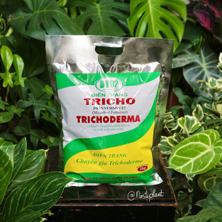 Nấm đối kháng Trichoderma - Phòng trừ nấm bệnh cho cây, ủ phân sinh học