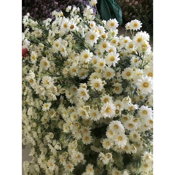 Hoa giả trang trí hoa giả decor cúc họa mi nhiều màu sắc cao 70cm