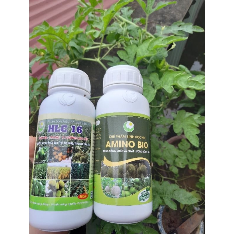 Cặp đôi Amino  Bio tăng sức đề kháng cây trồng và HLC 16. BỘ ĐÔI HOÀN HẢO CHO CÂY TRỒNG