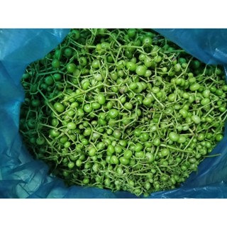 trái giác sống 1kg