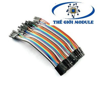 Dây bus, dây bẹ 2 đầu cái 10cm