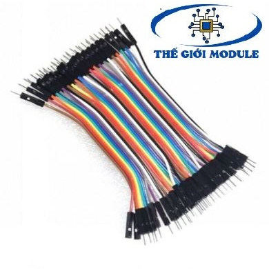 Dây bus, dây bẹ 2 đầu đực 10cm (40 sợi)