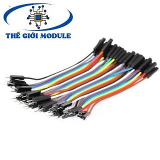 Dây bus, dây bẹ đực cái 10cm
