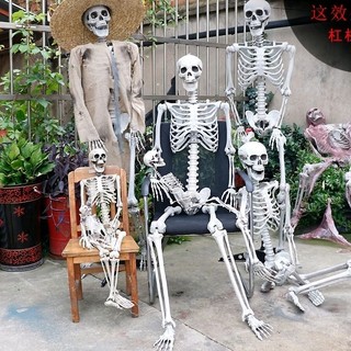 LOẠI ĐẸP Mô hình Bộ xương người nhựa 165cm trang trí Halloween