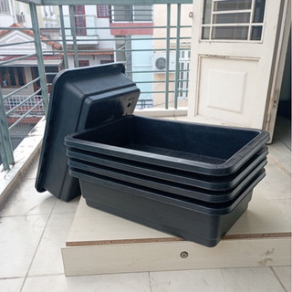Khay mầm trồng rau đen 650x410x170mm