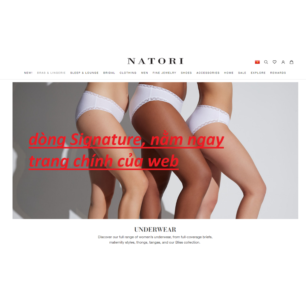 COMBO 3 quần lót thun cotton xuất Mỹ xịn, hiệu Natori sz M L XL XXL
