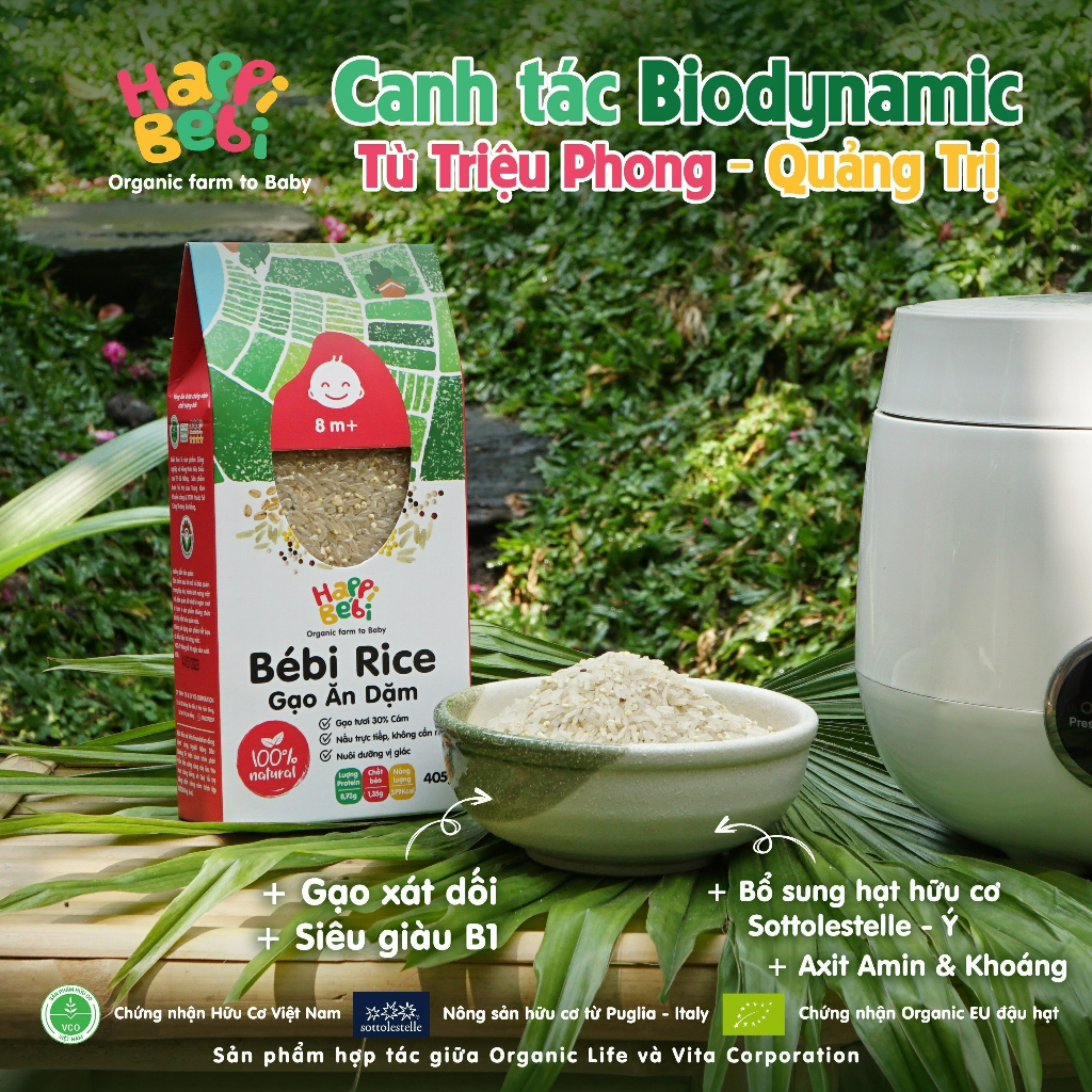Gạo Mầm Hữu Cơ Trộn Hạt Dinh Dưỡng Cho Bé Ăn Dặm Bébi Rice 405g