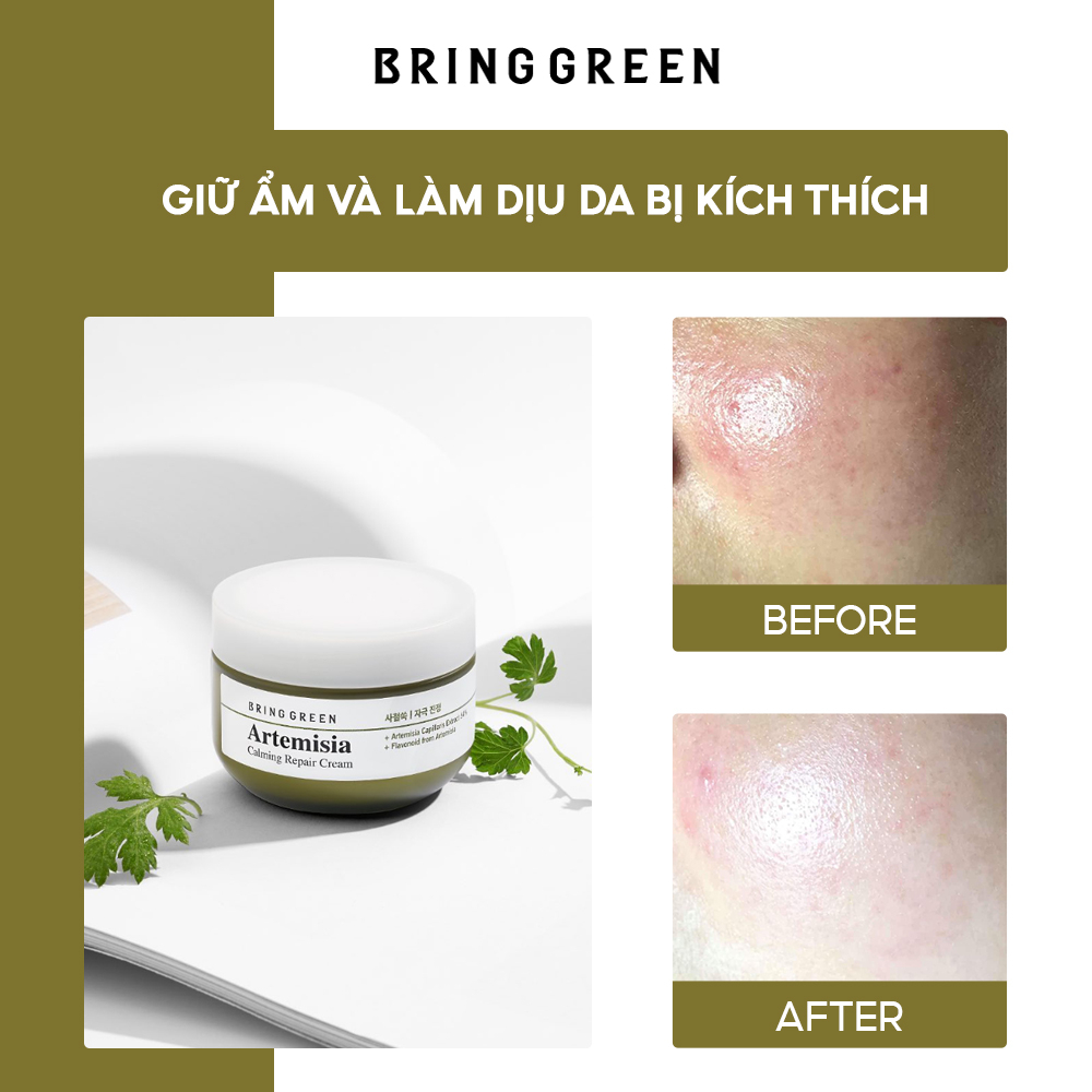 Kem Dưỡng Làm Dịu Da Bring Green Artemisia Calming Repair Cream 75ML