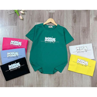 Áo thun nữ 979 phom vừa co giãn mịn mát