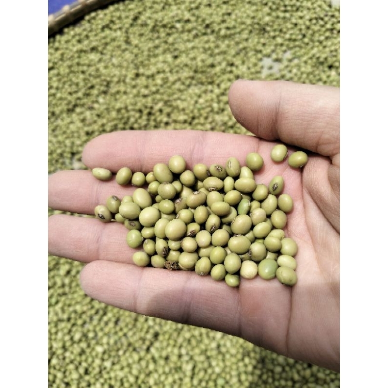 ĐẬU NÀNH XANH Hữu cơ