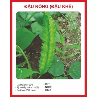 Hạt giống đậu rồng gói 10gr