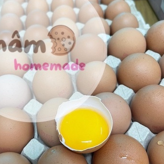 Bánh ăn dặm sữa chua trái cây cho bé từ 6 tháng thơm ngon bổ dưỡng Châm Homemade