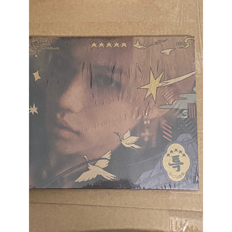 HỘP ĐỰNG ẢNH VÀ CARD "5 STAR" STRAY KIDS