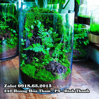 Bình bông thủy tinh trang trí ĐK15xH30, Bình cắm hoa thủy tinh trụ, lọ hoa hình trụ, trụ đổ đèn cầy, ống trụ tròn