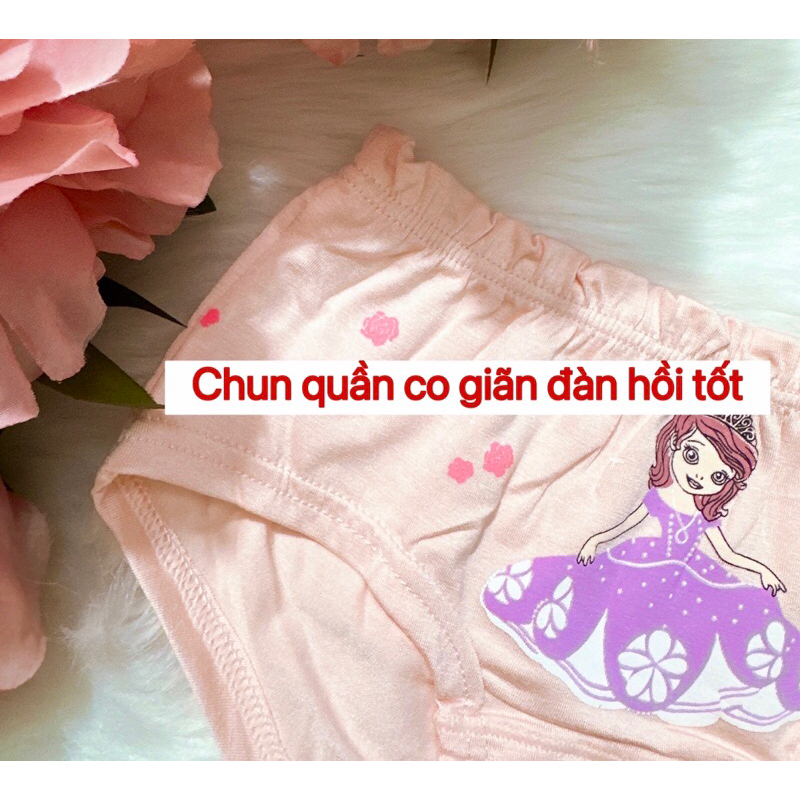 Combo 5 quần chíp cho bé gái , chất thun lạnh mịn mát Q21