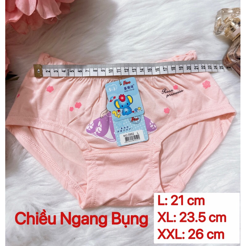 Combo 5 quần chíp cho bé gái , chất thun lạnh mịn mát Q21