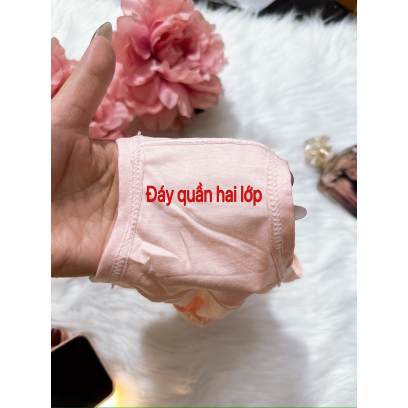 Combo 5 quần chíp cho bé gái , chất thun lạnh mịn mát Q21