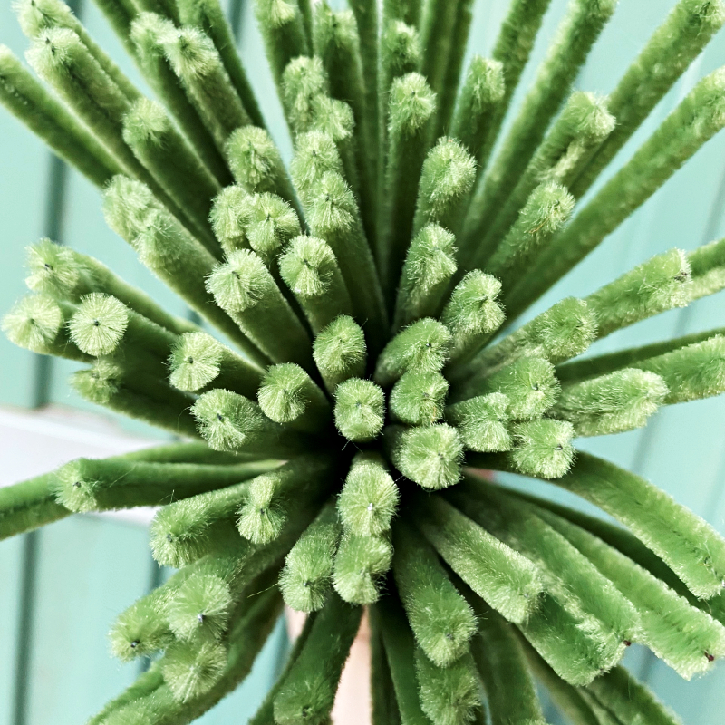 Kẽm Nhung Thằng Hàng Loại 1 Lông Dày Mịn - Màu Xanh Ôliu Nhạt