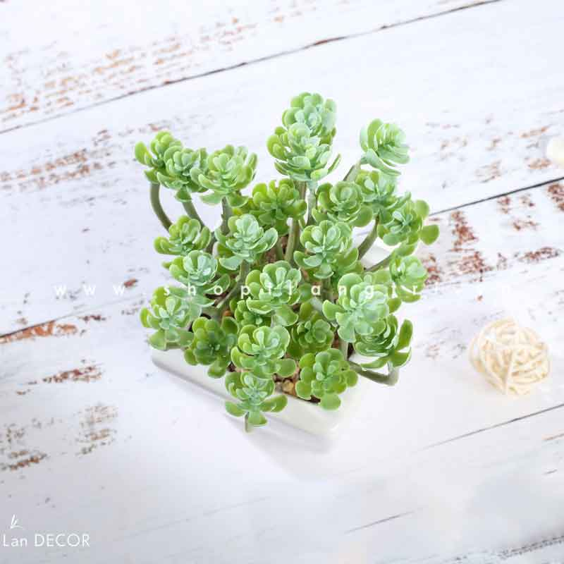 Sen đá giả - Cây giả trang trí nhà decor nội thất, chậu sen đá mini đủ size giống hệt cây thật, giá siêu rẻ