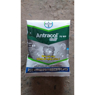  Thuốc Trừ Bệnh ANTRACOL 70WP trị Thán Thư Vàng Lá Thối Rễ Đốm Lá Bảo Vệ Cây Trồng 40gr 100gr 