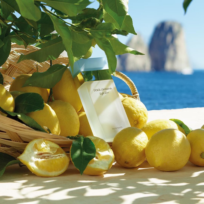 Nước hoa DG Light Blue EDT