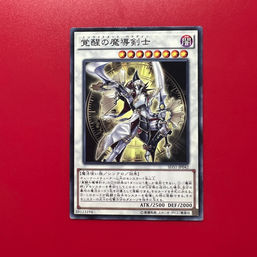 Enlightenment Paladin