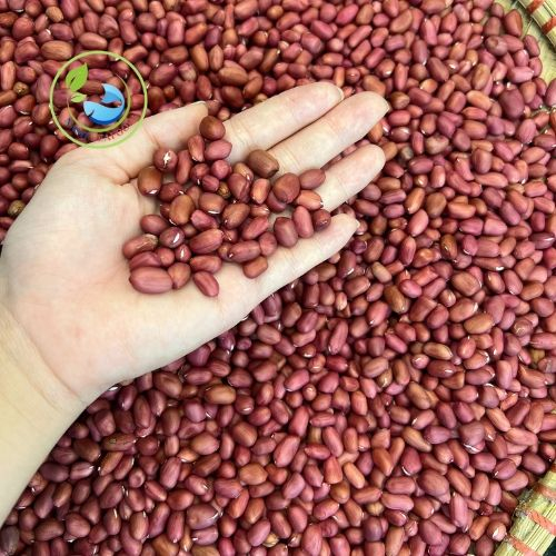 Lạc đỏ bóc tay NAMI SEAFOOD 500g