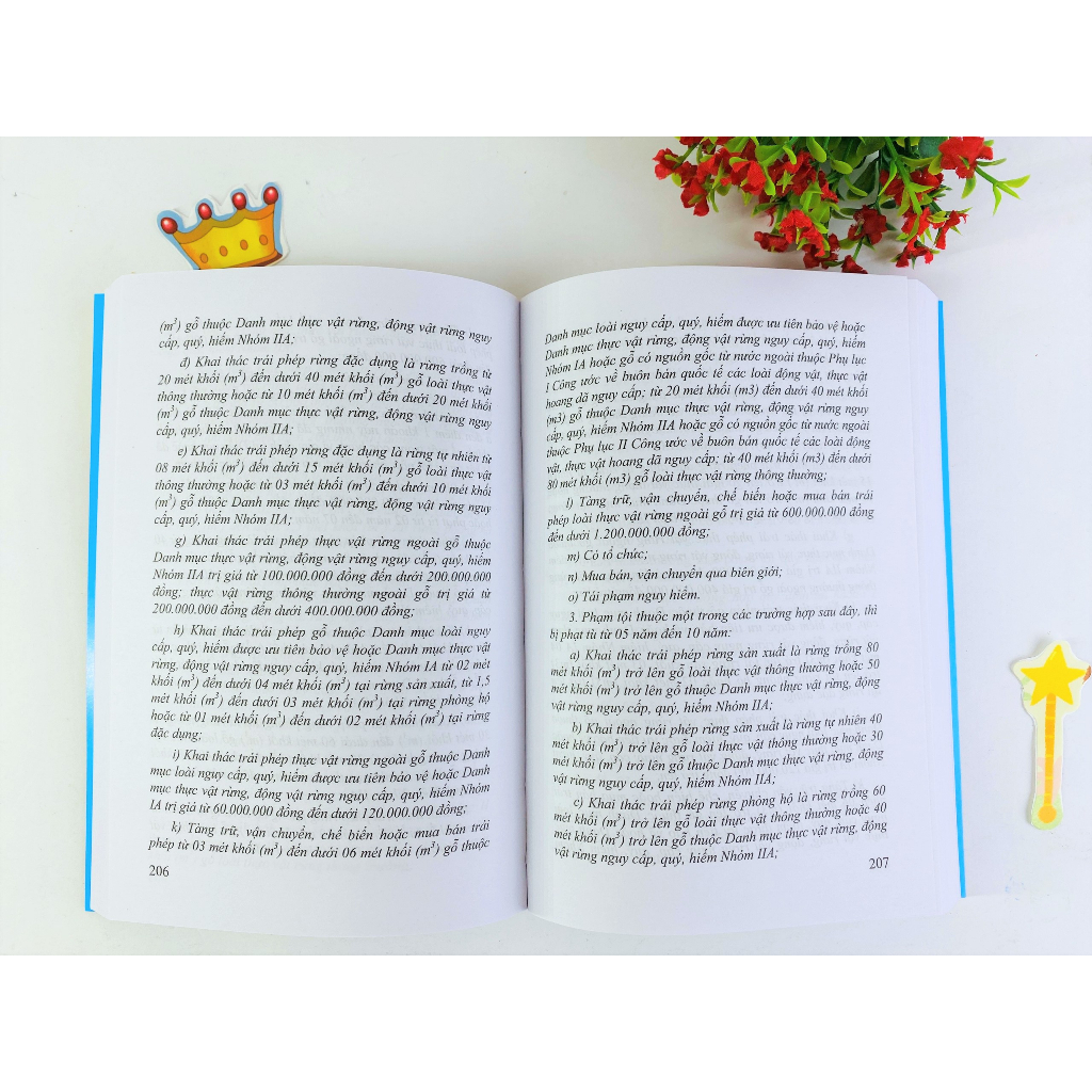 Sách - Bộ Luật Hình Năm 2015 sửa đổi, bổ sung năm 2017  B129 - ndbooks