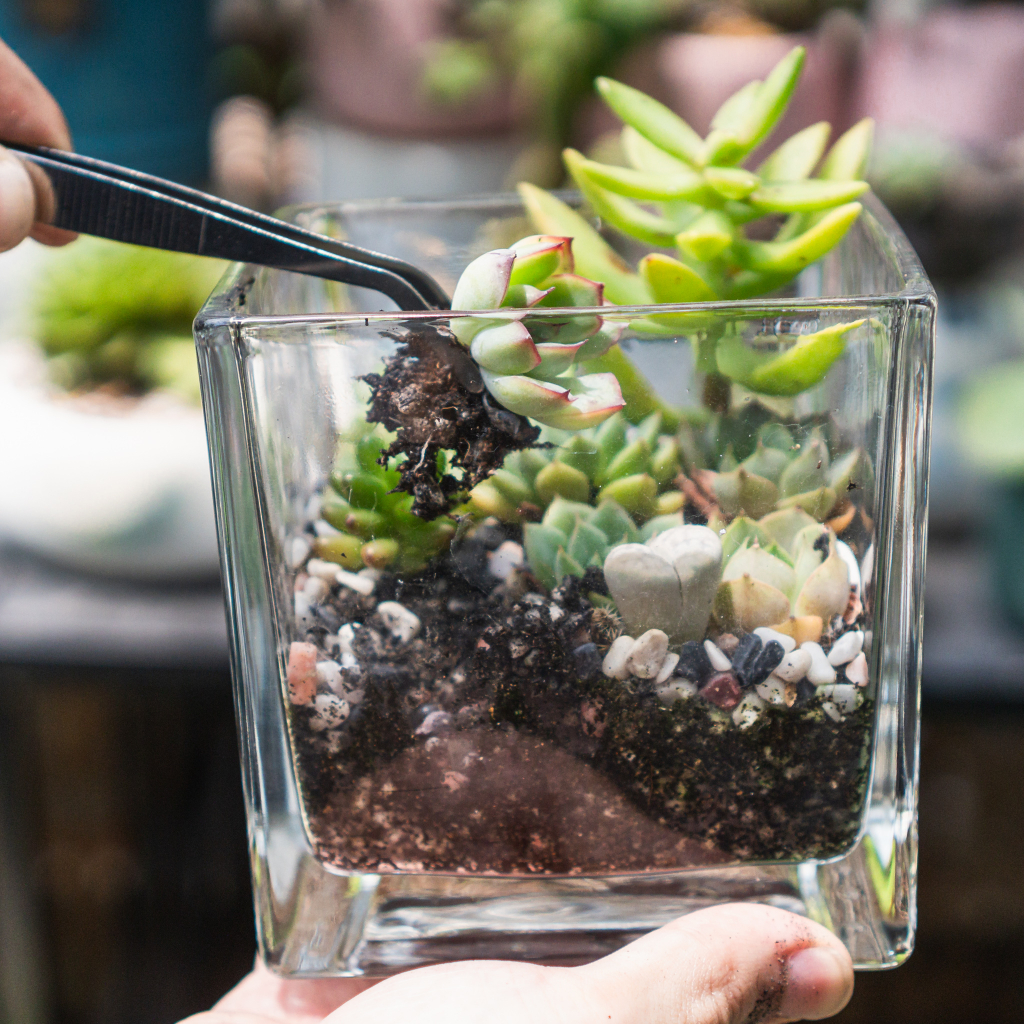 Bộ nhíp sắt trồng cây, giúp bạn trồng tiểu cảnh, terrarium, bonsai dễ dàng | Joy Garden