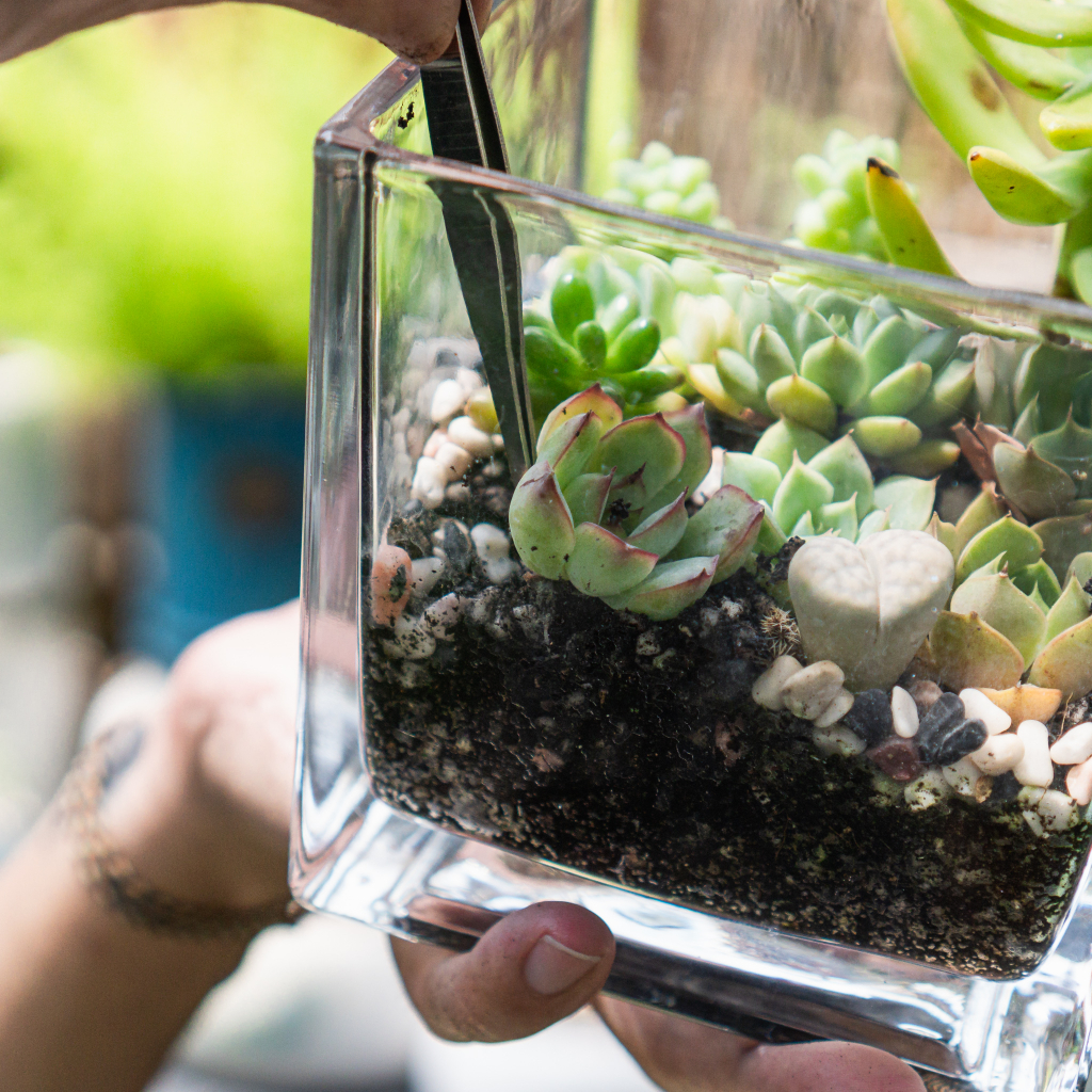 Bộ nhíp sắt trồng cây, giúp bạn trồng tiểu cảnh, terrarium, bonsai dễ dàng | Joy Garden