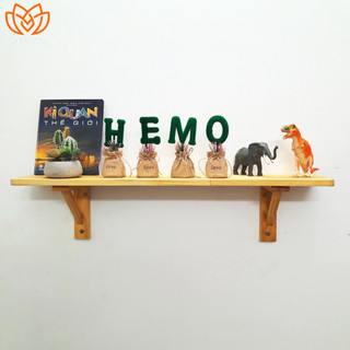 Kệ gỗ treo tường cải tiến, kệ gỗ treo tường trang trí MegoVN-Kg01