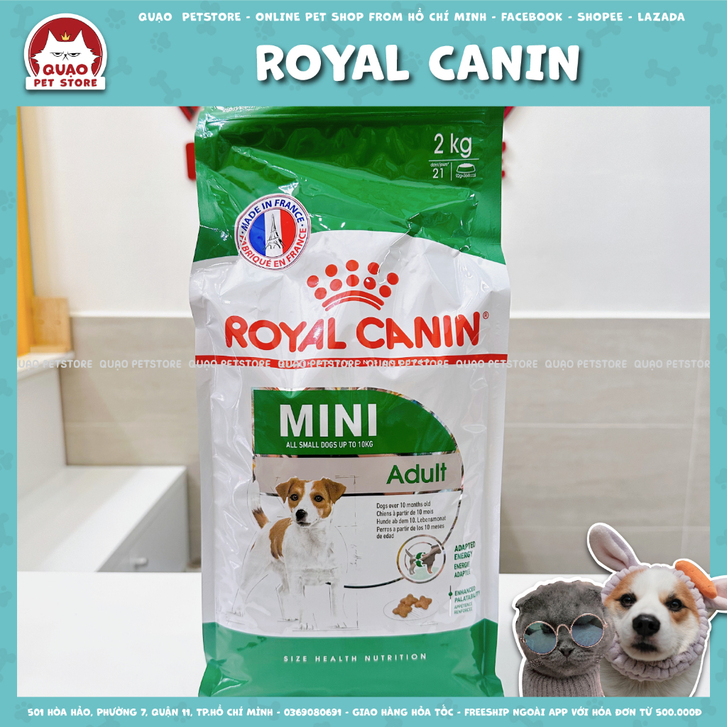 Royal Canin Mini Adult, thức ăn cho chó trưởng thành size nhỏ
